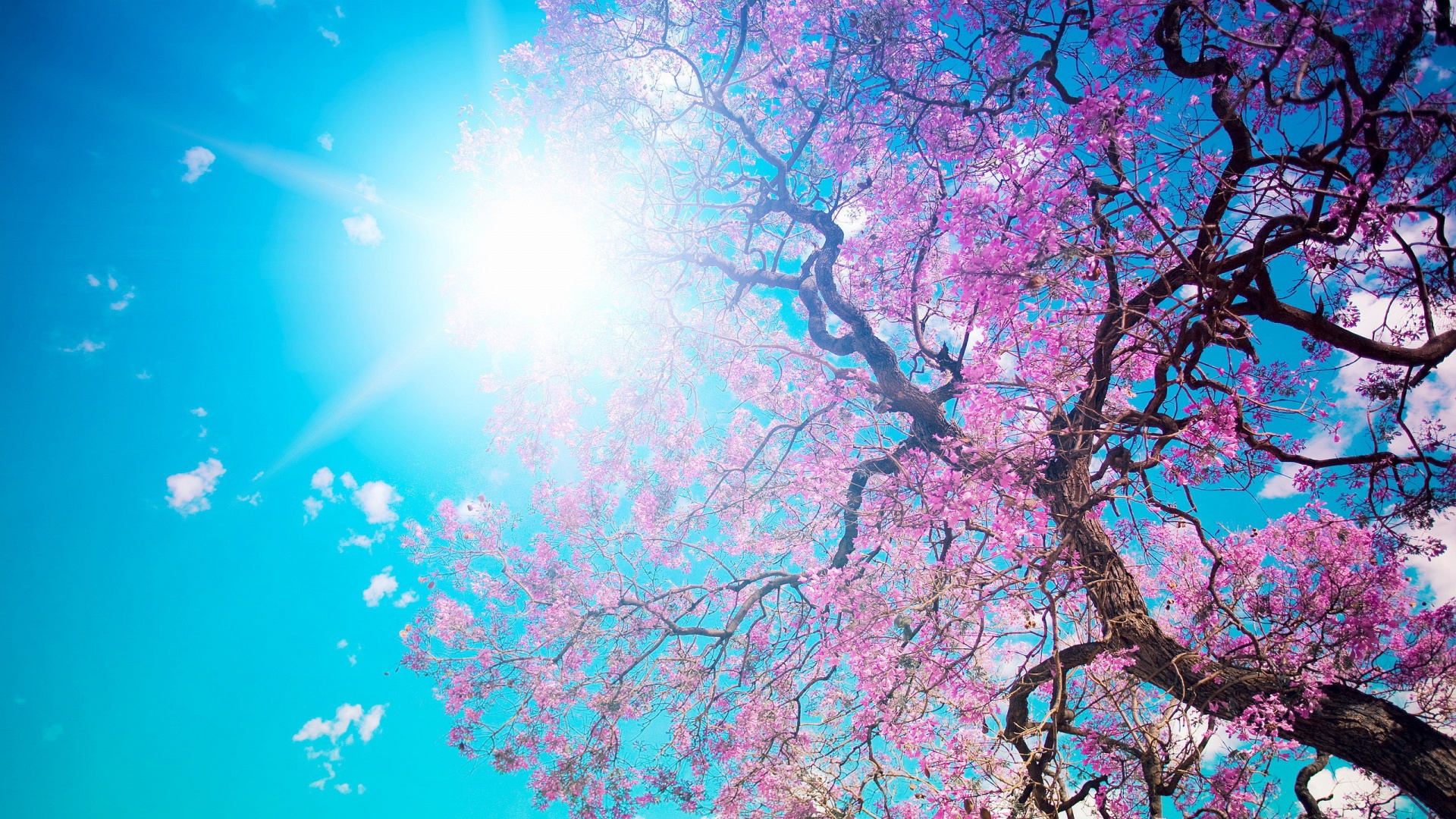 Spring Wallpapers 418 HDWPro
