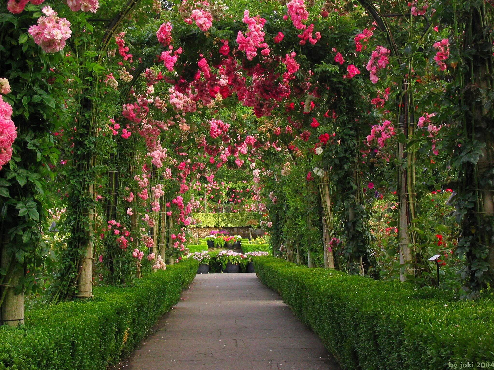 Nice Garden Wallpaper Free Garden Image »