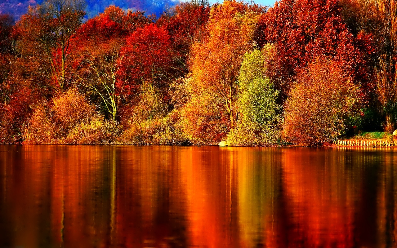 Free Autumn Wallpaper, Free Autumn Wallpaper, #2592