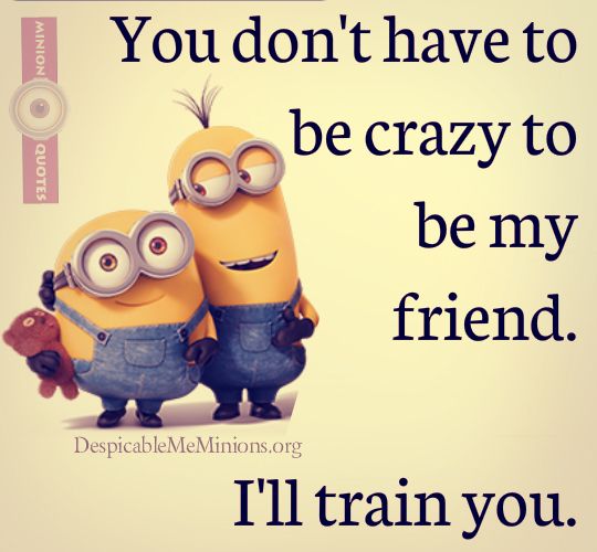 Funny Quote About Friendship