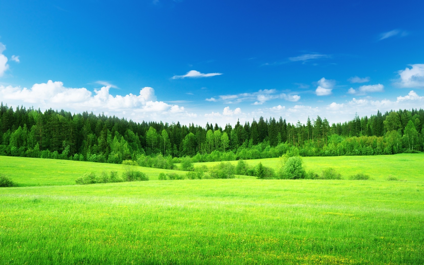 Green Field Image, Beautiful Green Field, #4066