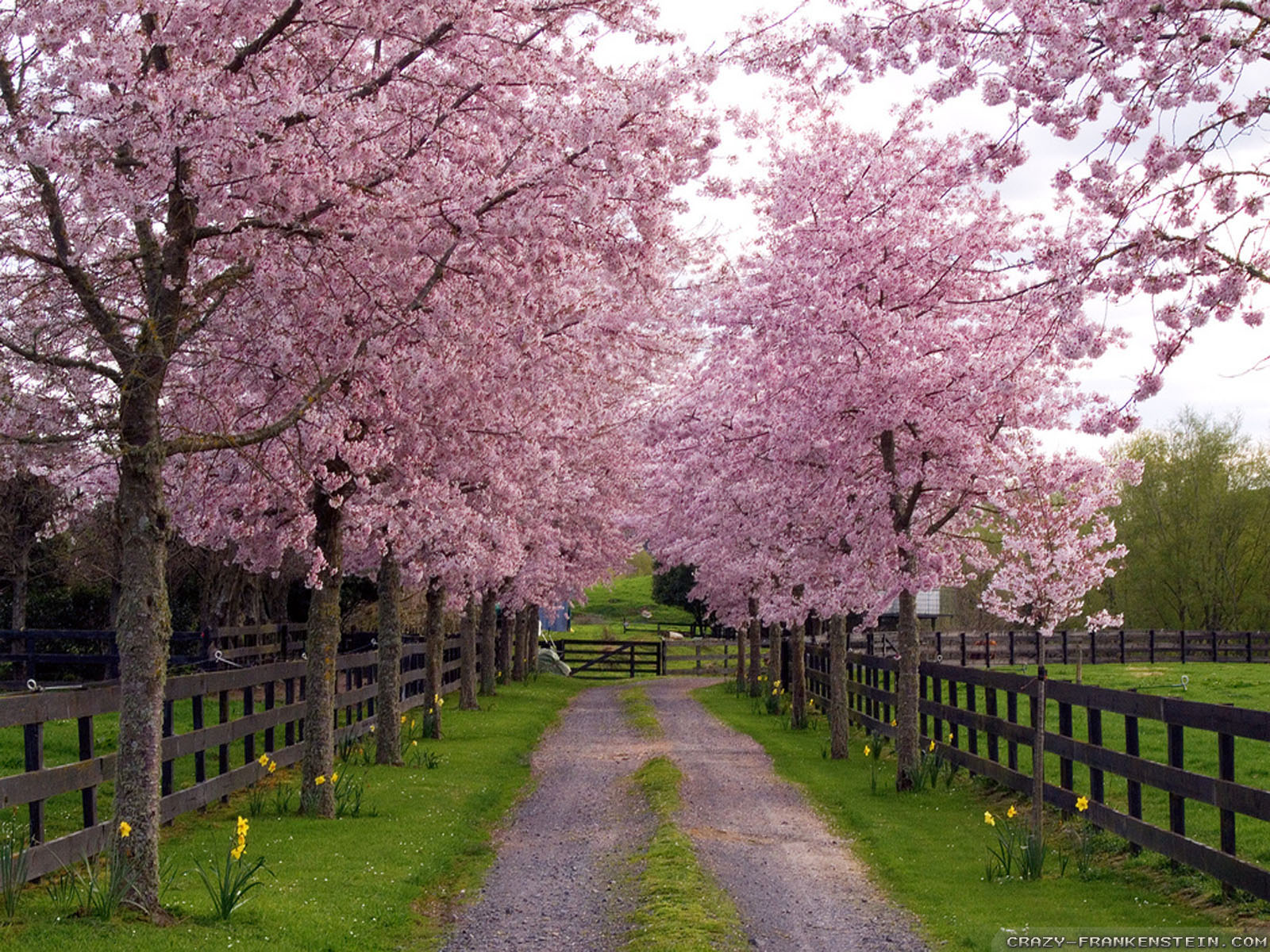 spring-season-photo-awesome-spring-season-photo-8775