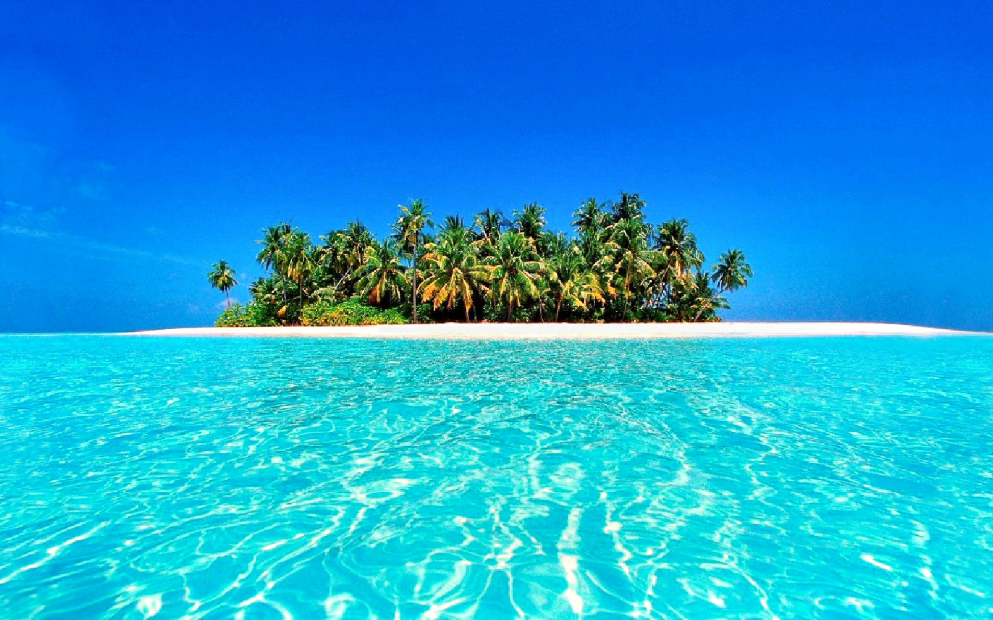 Tropical Image, Blue Tropical Wallpaper, #9763