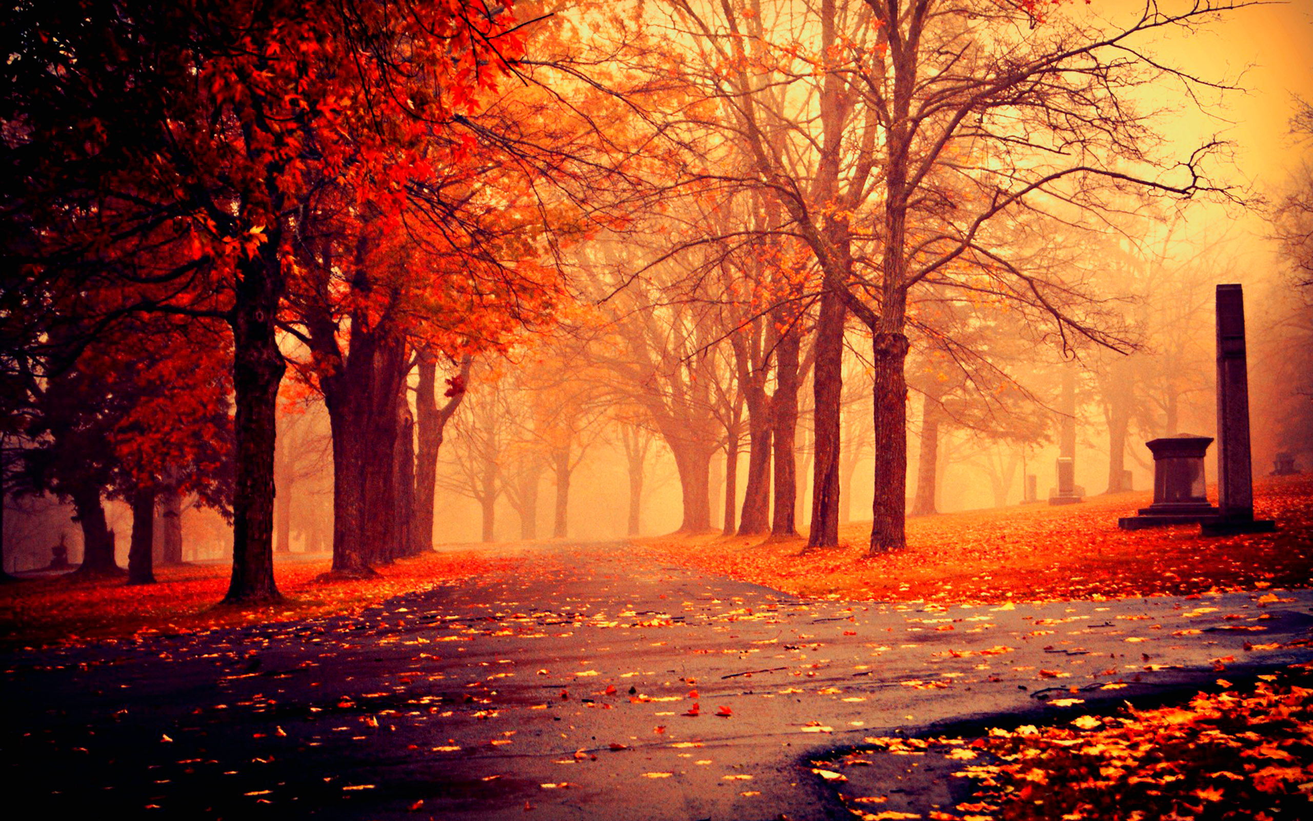 HD Autumn Image, Fall HD Autumn, #9775