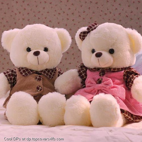 cute teddy bear friends