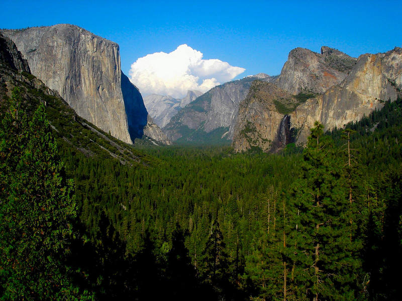 Yosemite Valley Photo, Best Yosemite Valley, #20920