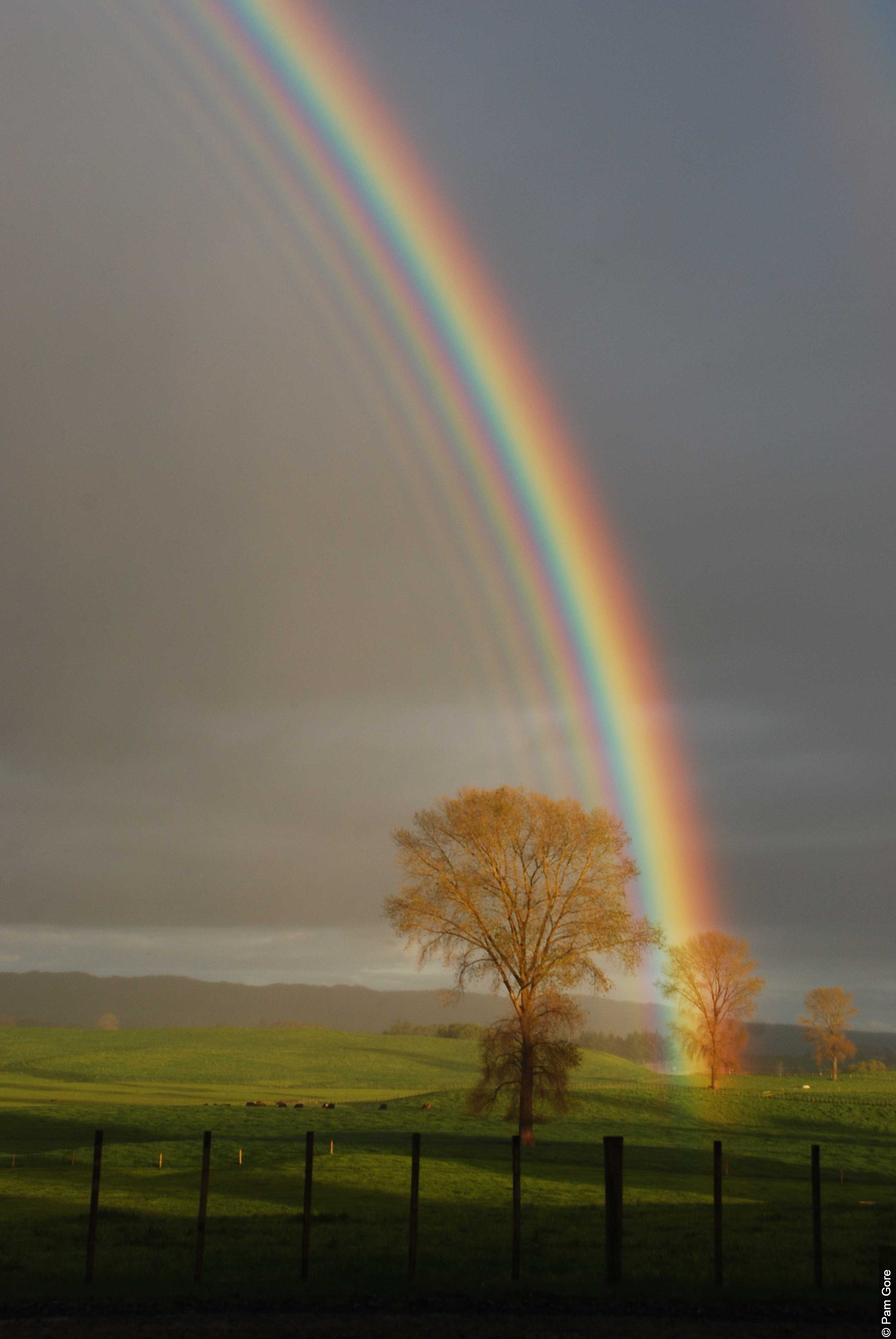 Rainbow, Beautiful Rainbow, #22875