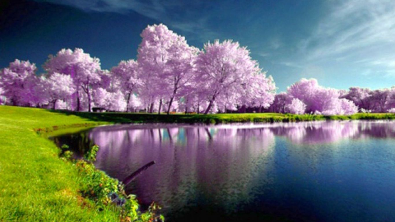 Purple Tree HD Spring, #22569