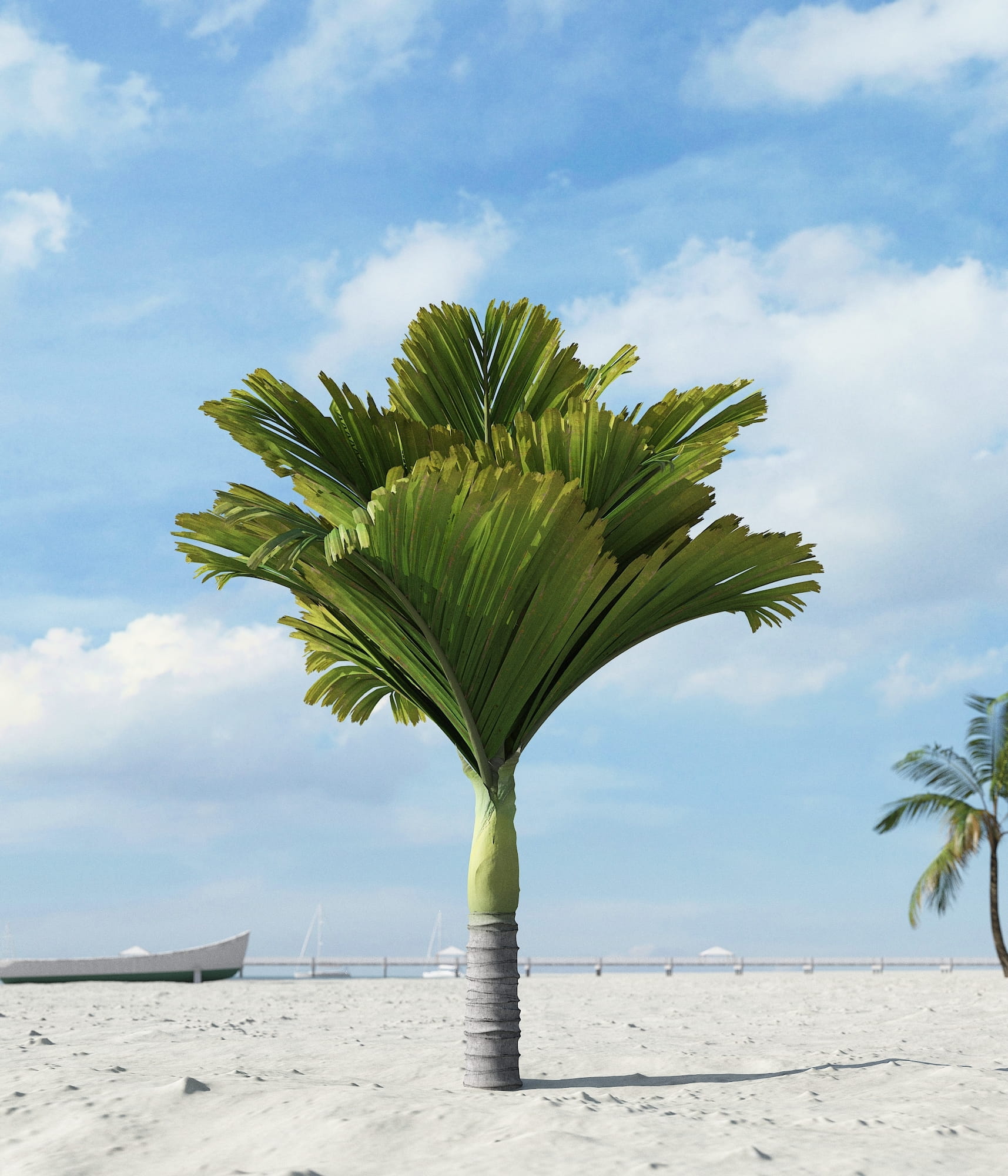 Palm Tree Wallpaper, HD Palm Tree, #29435