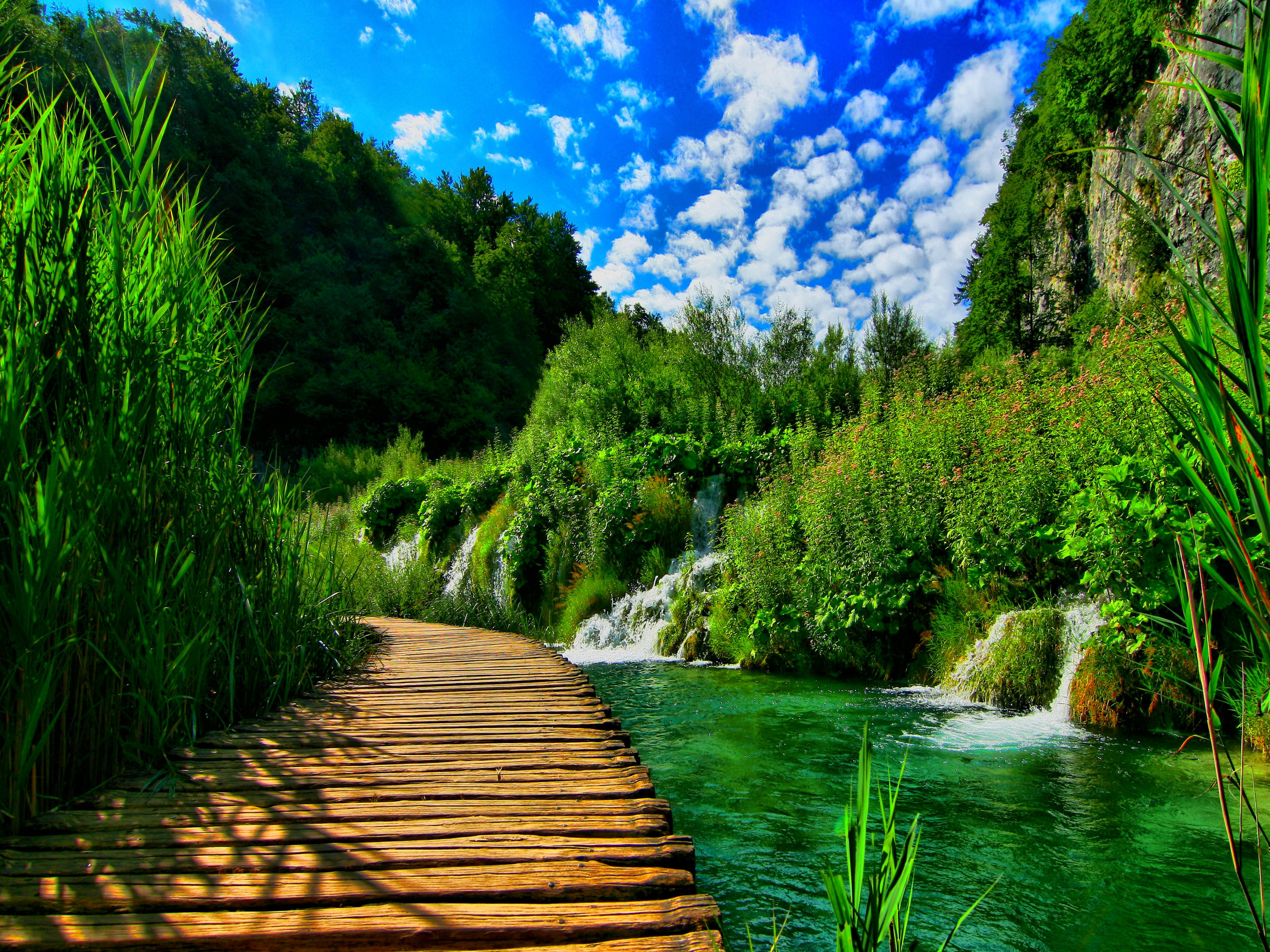 Nature background hd