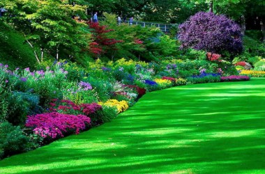 Beautiful Garden Wallpaper