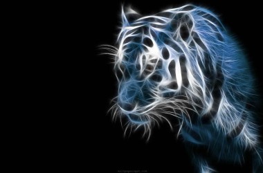 Tiger Cool Image