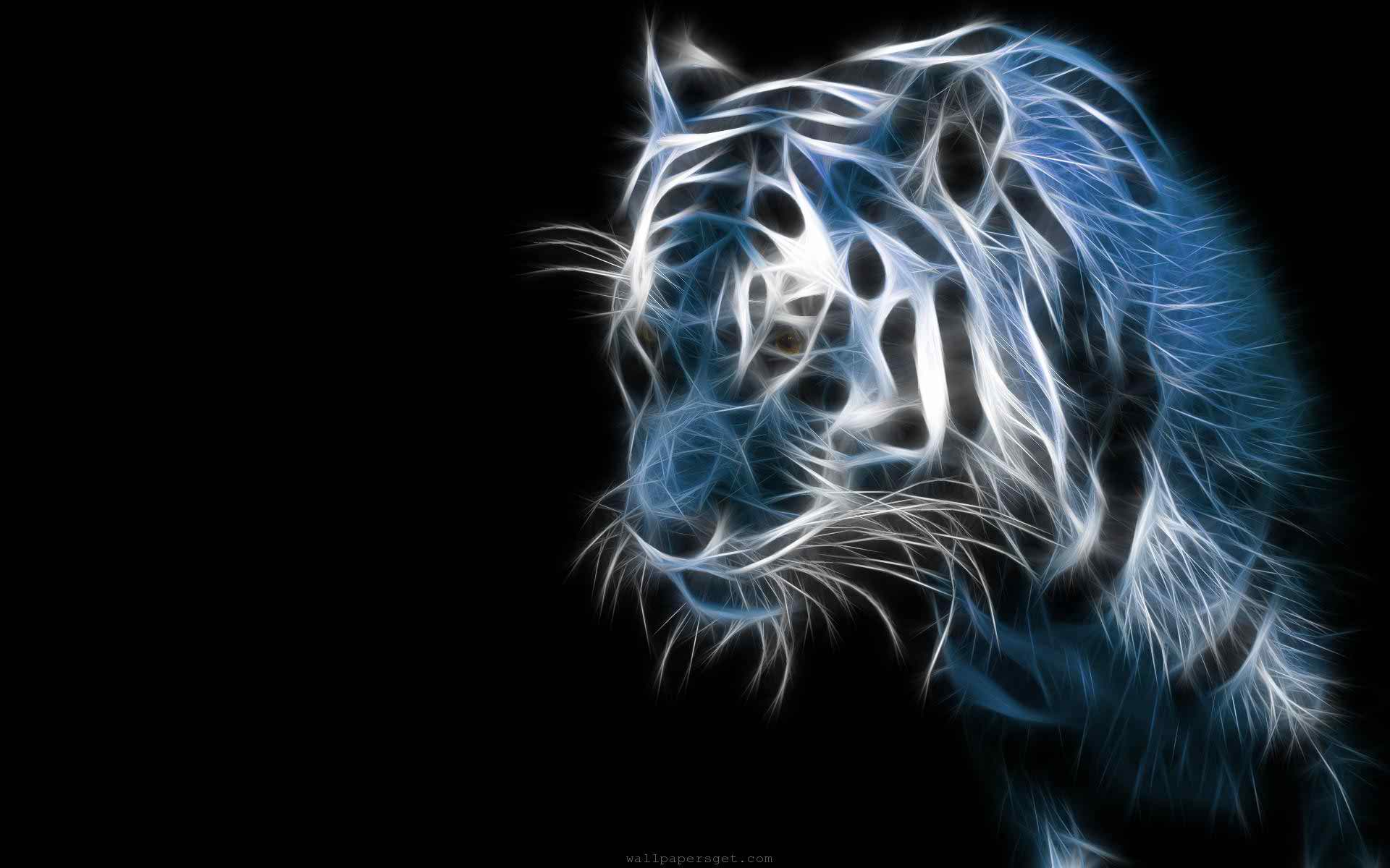 Tiger Cool Image