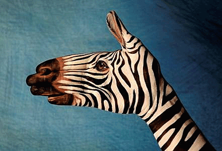 Tiger Hands Art