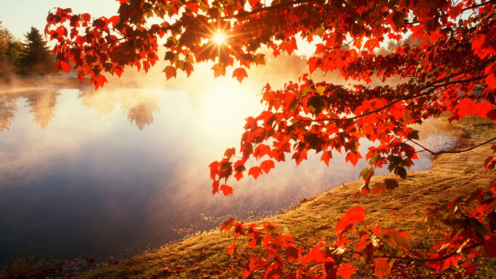 Awesome Autumn Wallpaper