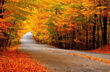 Natural Autumn Wallpaper