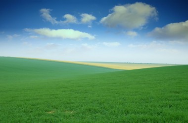 Green Field Image