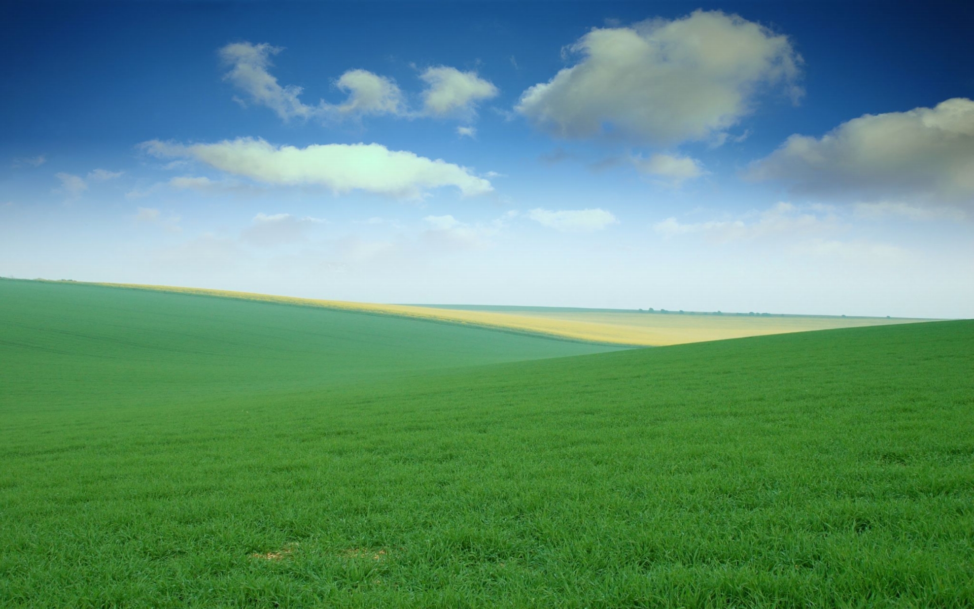 Green Field Image