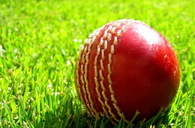 Red Ball Cricket Wallpaper