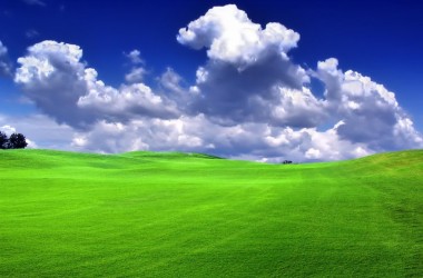 Top Green Field