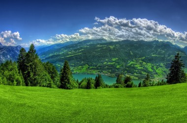 Top Nature Background