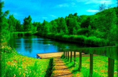 Widescreen Nature Background