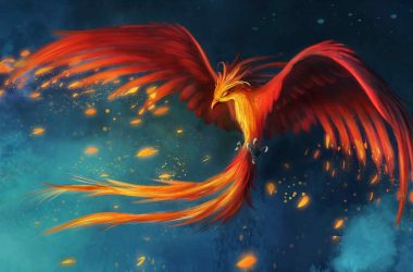 Flight Art Phoenix Bird