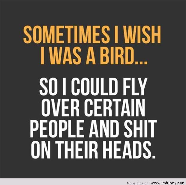 To Be Bird Is Funny