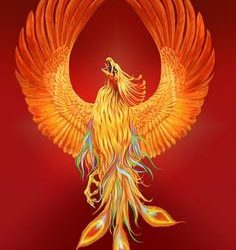 Top Phoenix Bird
