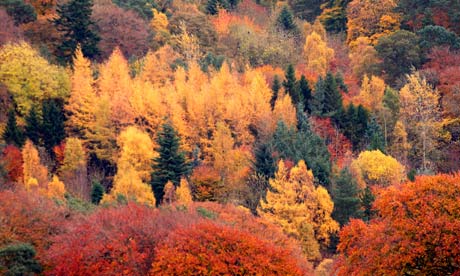 Best Colourful Autumn