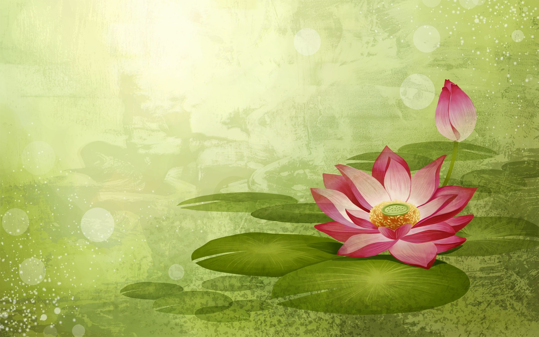 Widescreen Lotus Wallpaper