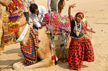 Best Pushkar Camel Festival