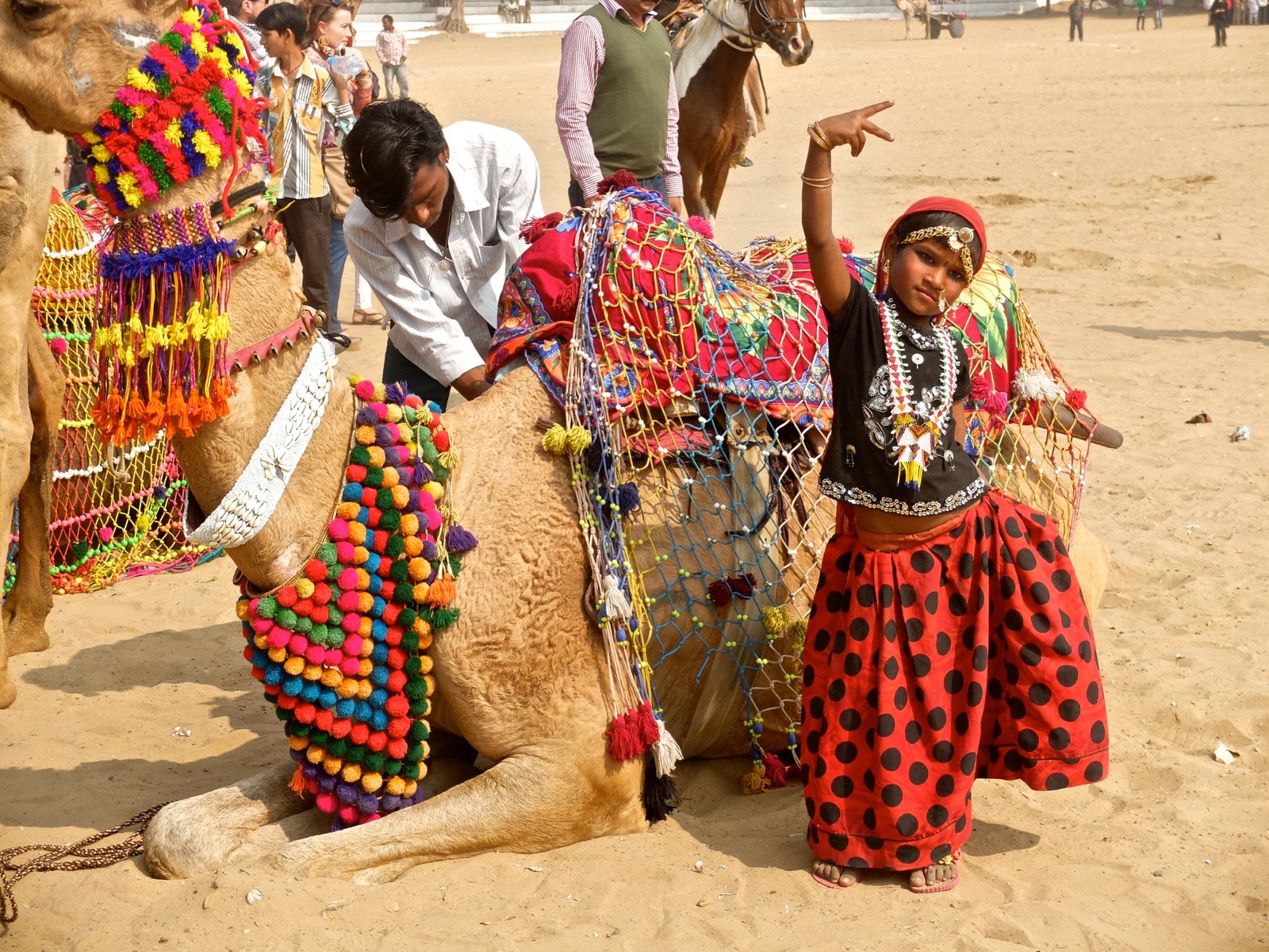 Best Pushkar Camel Festival