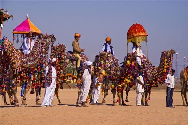 Holiday India Pushkar Camel Festival
