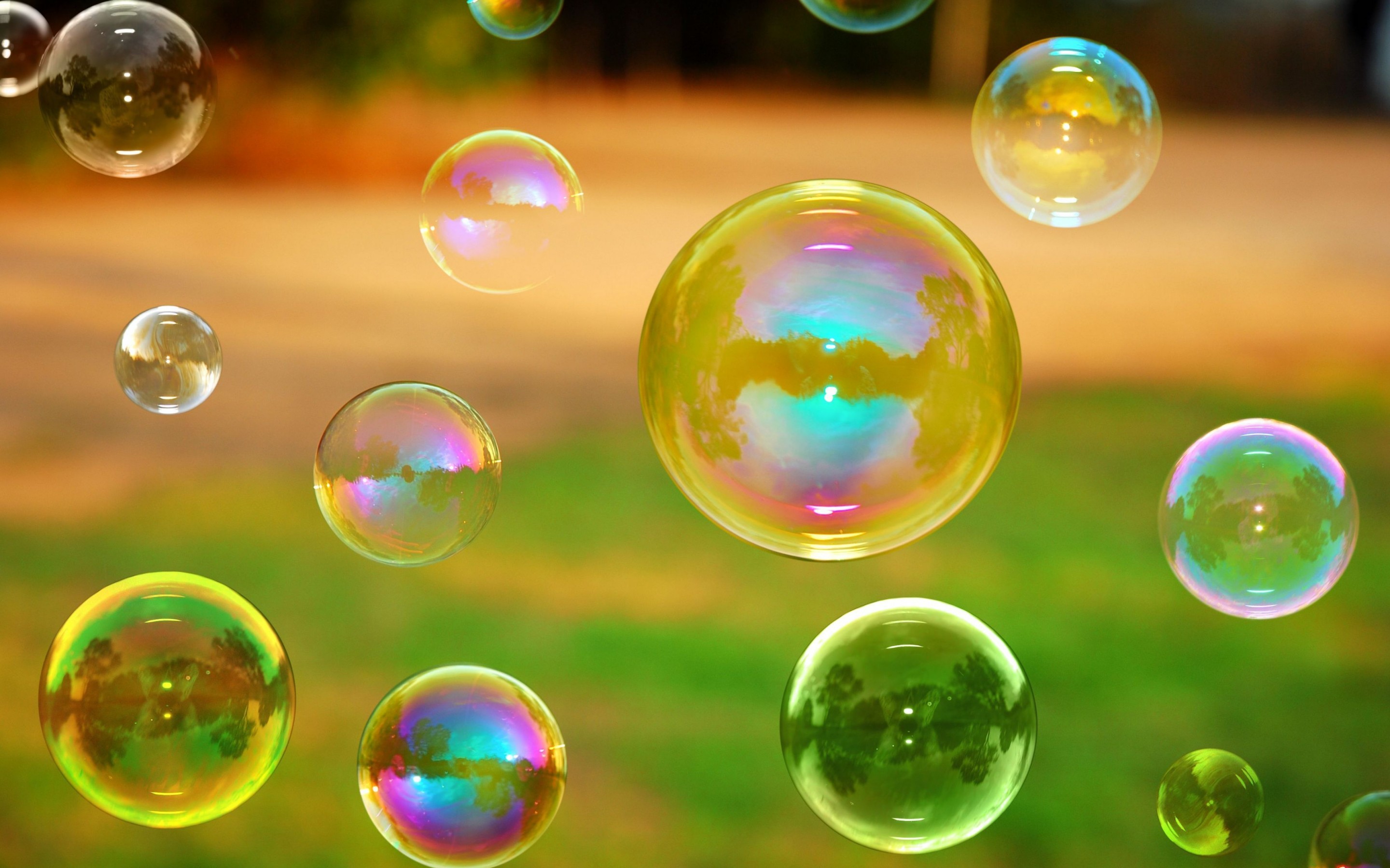 Art Bubble