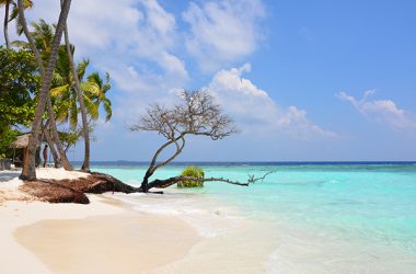 Cool Maldives Beach