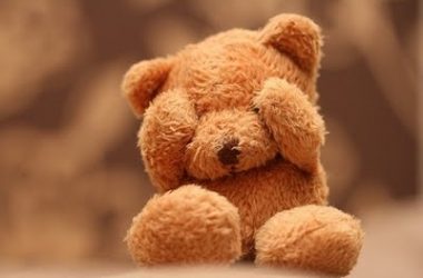 Brown Cute Teddy Bear