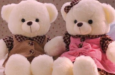 Cute Teddy Bear Couple