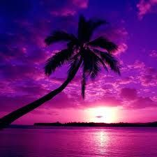 Free Purple Beach