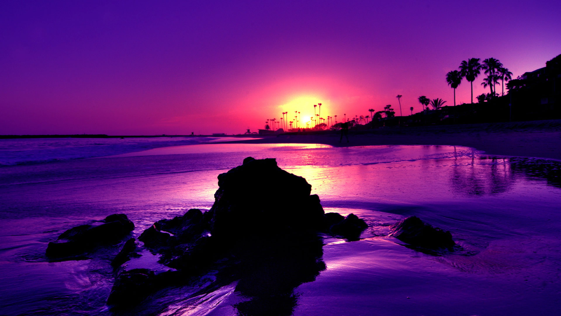 Stunning Purple Beach