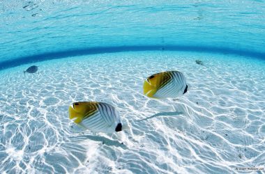 Widescreen Clear Water