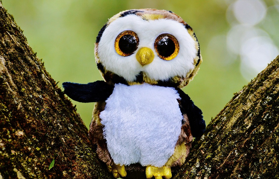 Great Owl Photo