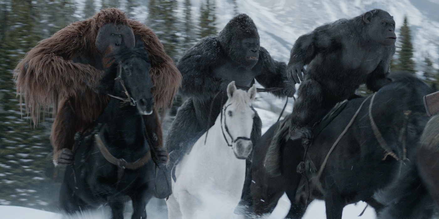 Best War For The Planet Of The Apes