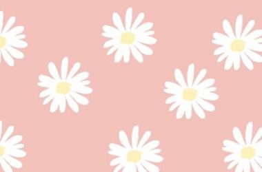 Flower Cute Background 13918
