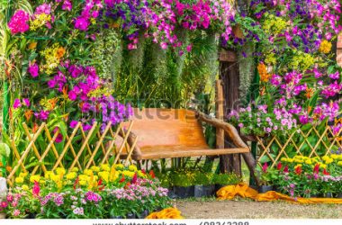 Free Flowers Garden
