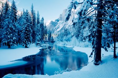 Landscape Winter Background