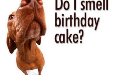 Great Funny Birthday Wishes