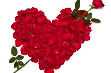 Heart Love Rose