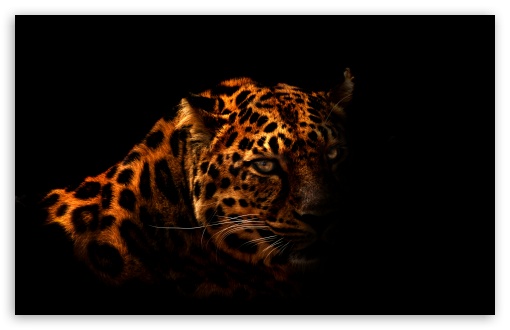 Brown Leopard Wallpaper