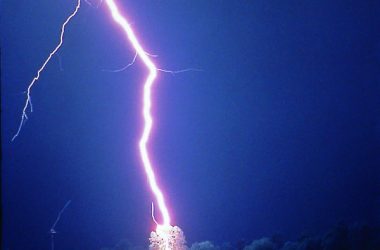 Lightning Hits Tree